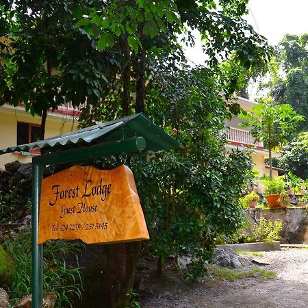 Forest Lodge Bel Ombre Ngoại thất bức ảnh
